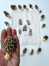 Load image into Gallery viewer, morel mushrooms and tea towel